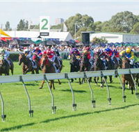 Morphettville Racecourse - Pet Food Australia