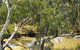 Quilberry Creek Fishing - thumb 0