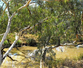 Quilberry Creek Fishing - Food Delivery Shop 0