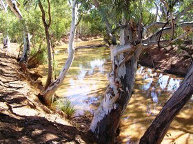 Quilberry Creek Fishing - Food Delivery Shop 1