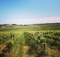 Adelaide Winemakers - Pet Food Australia