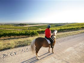 Kidman Trail - Food Delivery Shop 0