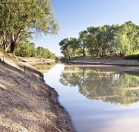 Darling River Run - Pet Food Australia