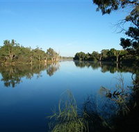 O'Donnell Park Curlwaa - Pet Food Australia