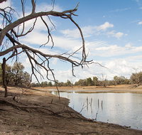 Toorale National Park - Pet Food Australia