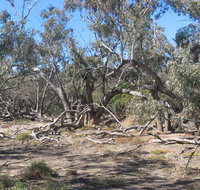 Mirri Mirru Yurun - Pet Food Australia