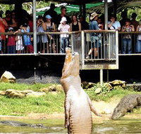 Crocodylus Park - Pet Food Australia