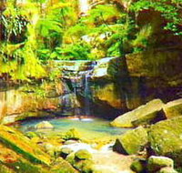 Carnarvon Gorge Carnarvon National Park - Food Delivery Shop