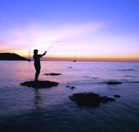 Fishing at Magnetic Island - Pet Food Australia
