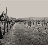 Halls Gap Estate - Food Delivery Shop