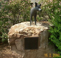 Dingo Statue - Food Delivery Shop