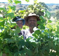 Wimmera Hills Winery - Food Delivery Shop