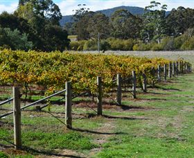 Mountainside Wines - Food Delivery Shop 1