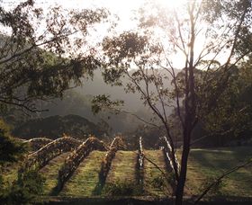 Mountainside Wines - Food Delivery Shop 3