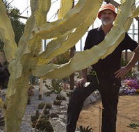 Cactus Country - Food Delivery Shop