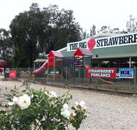 The Big Strawberry - Food Delivery Shop