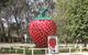 The Big Strawberry - thumb 1