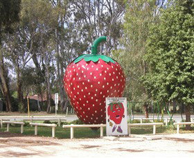 The Big Strawberry - Food Delivery Shop 1