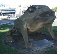 Big Cane Toad - Food Delivery Shop