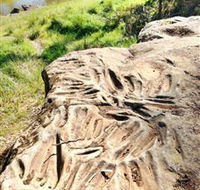 Terramungamine Rock Grooves - Food Delivery Shop