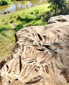 Terramungamine Rock Grooves - Food Delivery Shop 0