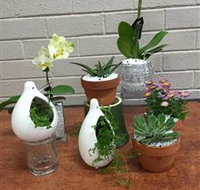 Cobram Florist - Food Delivery Shop