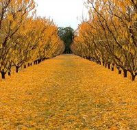 Sun Country on the Murray Farm Gate Trail - Food Delivery Shop