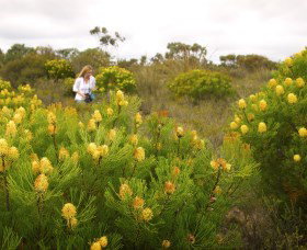 Fitzgerald Biosphere - Food Delivery Shop 1