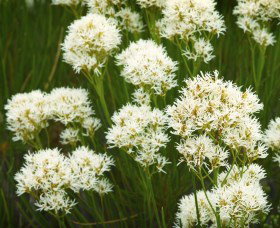 Fitzgerald Biosphere - Food Delivery Shop 2