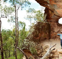 Pilliga National Park - Pet Food Australia