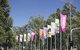 Shepparton Art Museum (SAM) - thumb 7