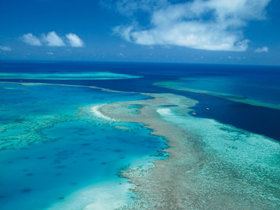 Fairey Reef - Food Delivery Shop 2