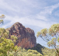 Green Camp - Pet Food Australia