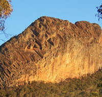 Kaputar scenic drive - Pet Food Australia