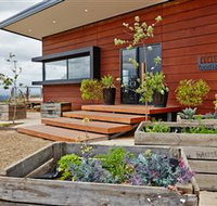 Food I Am Cooking School - Pet Food Australia