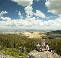 Mt Wombat lookout - Food Delivery Shop