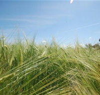 150 Degrees East Meridian - Pet Food Australia