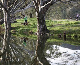 Albury - Murray River Precinct - Food Delivery Shop 3