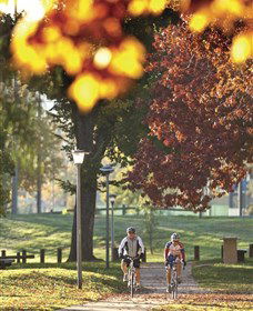 Albury - Murray River Precinct - Food Delivery Shop 6