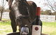 Gooree Park Mudgee - thumb 0