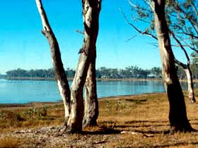 Lake Broadwater Conservation Park - Food Delivery Shop 0