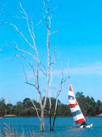 Lake Broadwater Conservation Park - Food Delivery Shop 2