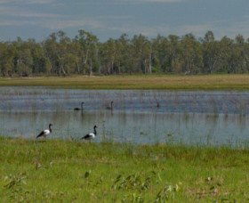 Lake Broadwater Conservation Park - Food Delivery Shop 1