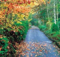 Mount Wilson and Mount Irvine - Pet Food Australia