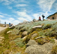 Mount Kosciuszko Summit walk - Food Delivery Shop