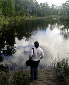Boonoo Boonoo Falls National Park - Pet Food Australia 1