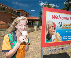 Mammino Gourmet Ice Cream - Food Delivery Shop 3