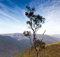 Salisbury Waters walking track - Pet Food Australia
