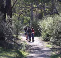 Syd's Rapids and Aboriginal Heritage Trail Avon Valley - Pet Food Australia