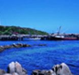 King Island Dairies - Pet Food Australia